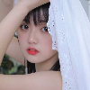 蒲公英小姐的头像-WP独立站学院